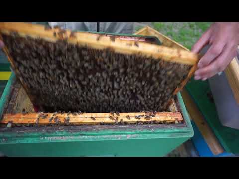 16 zwalczanie nastroju, odkład tymczasowy