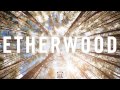 Etherwood We Are Ever Changing