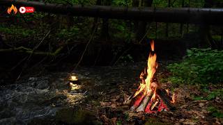 ⛺ Relaxing Forest Campfire & Stream ASMR | Pure Fire & Water Sounds for Sleep and Anxiety Relief