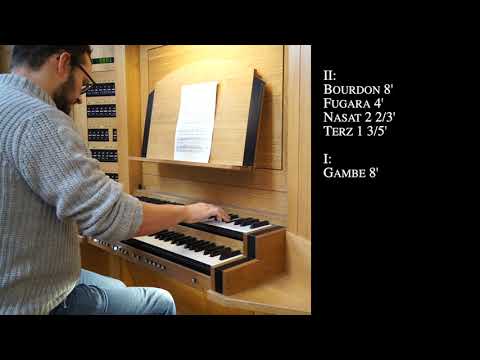 Tour Of Stops XIV - Register - und Plenavorstellung der Matz&Luge Orgel in Haueneberstein