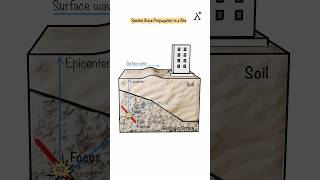 Seismic Wave Propagation to a Site