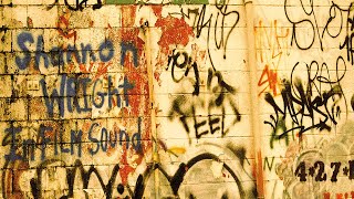 Shannon Wright - Surely, They&#39;ll Tear It Down (official audio)