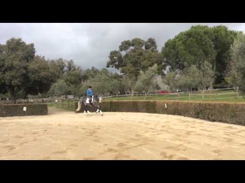 Coudelaria Quinta da Hermida