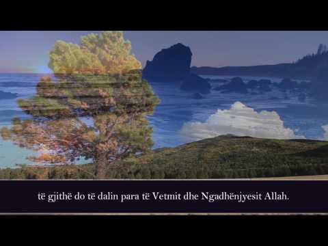 Emotional - Nasser El Kitami