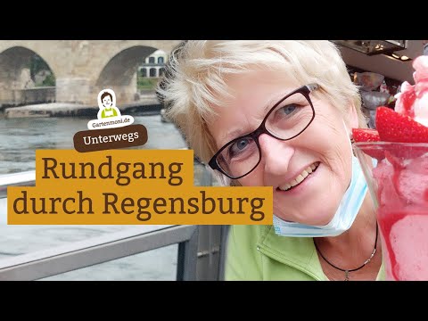 City tour through Regensburg