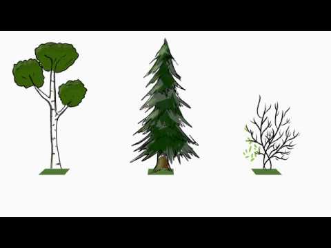 Introduction to hyperspectral imaging