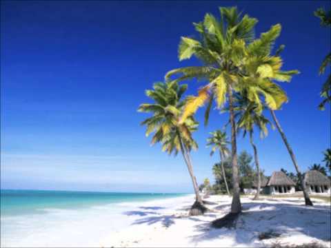 domo ni cakau - vakananuma voli remix (dj krishan remix)