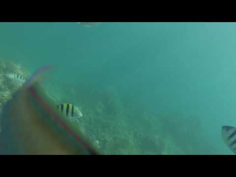 Darurat Gili Labak Madura part 1