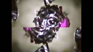 The Soft Moon - It Kills (Official Music Video)