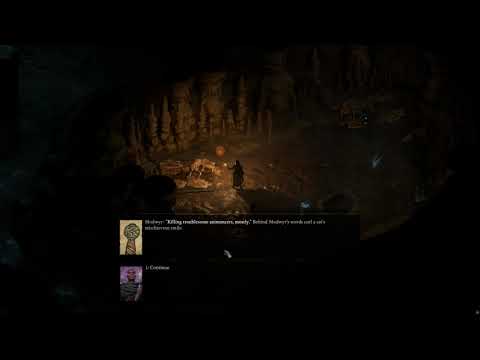 Pillars of Eternity II: Deadfire - Part 15 [Modded, 4k, 60fps, and No Commentary]