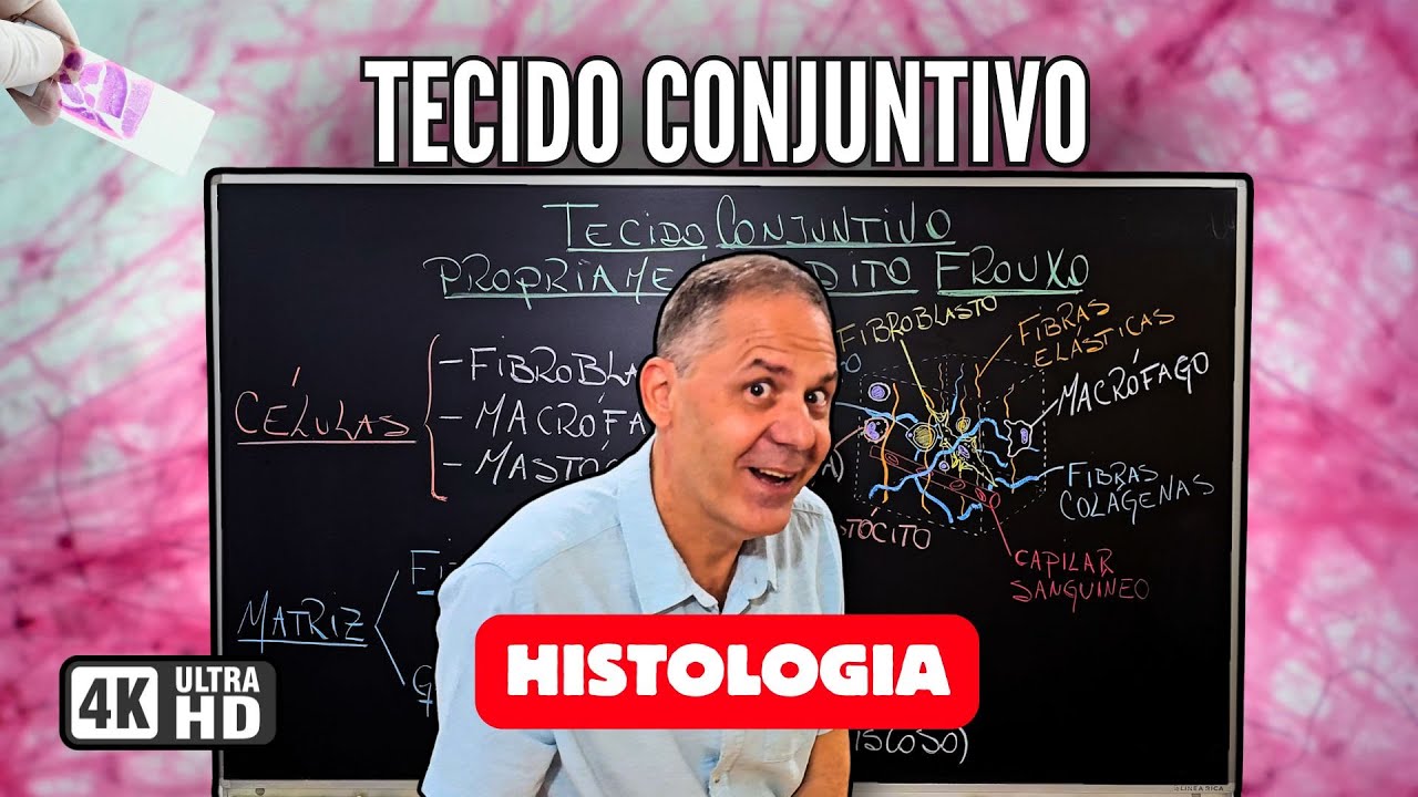 Tecido Conjuntivo: Tipos, Funções e Exemplos | Aula Completa com Tecido Frouxo, Denso e Adiposo