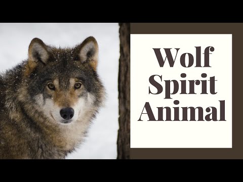 Wolf Spirit Animal: How They Help Us, How We Help Them