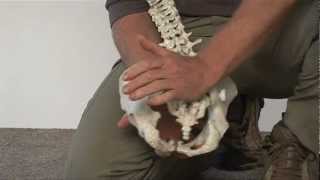 How to mobilise a tight sacroiliac joint with the Backpod