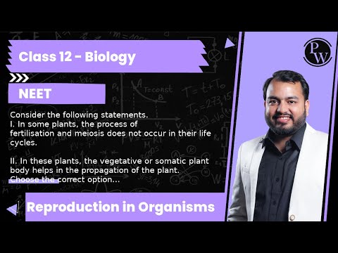 YouTube video about: Which of the following statements about plants is false?