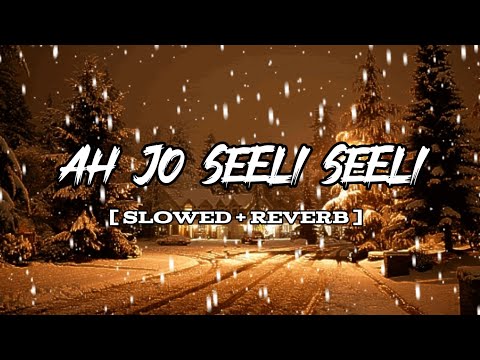 Eh Jo Seeli Seeli Aundi Ae Hawa Female (Full Slowed And Reverb Song)  | Punjabi Song