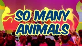 Hi-5 House S14 : So Many Animals