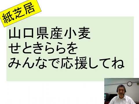 【山口大学OC2025／農学部／生物資源環境科学科】7 作物学分野