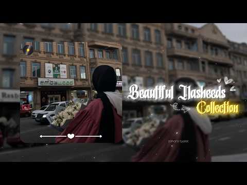 Beautiful Nasheed Collection 🎶🎧 || Soul Healing Nasheeds 🤍 | Zahara Typist 