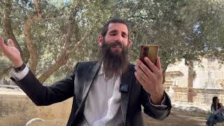 רק להודות ולהלל על חסד ה' ויופי הבריאה • מזמור ק"ד בתהילים | הרב אלישע וולפסון (ישיבת הר הבית) - התמונה מוצגת ישירות מתוך אתר האינטרנט יוטיוב. זכויות היוצרים בתמונה שייכות ליוצרה. קישור קרדיט למקור התוכן נמצא בתוך דף הסרטון רק להודות ולהלל על חסד ה' ויופי הבריאה • מזמור ק"ד בתהילים | הרב אלישע וולפסון (ישיבת הר הבית) - התמונה מוצגת ישירות מתוך אתר האינטרנט יוטיוב. זכויות היוצרים בתמונה שייכות ליוצרה. קישור קרדיט למקור התוכן נמצא בתוך דף הסרטון