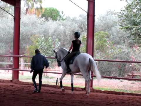 Jane, Vagabundo and Rafael Soto Spanish Walk, Epona Equistrian Center