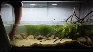 Brazilian clearwater river - Dec 2018