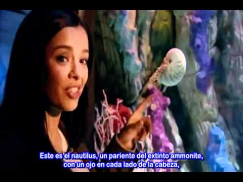 Richard Dawkins y la evolución del ojo en el programa de ciencia Bang Goes the Theory.