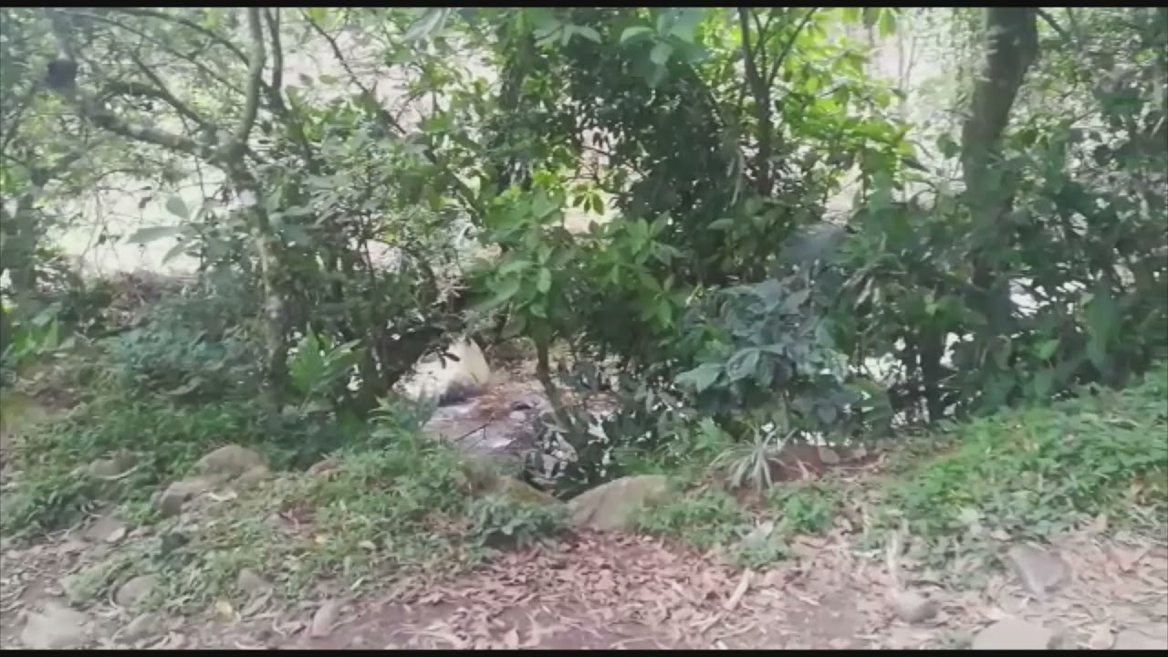 Kris Kremers & Lisanne Froon. Sendero "El Pianista" (I Parte).