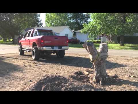 DIY Tree Stump Removal With A Truck