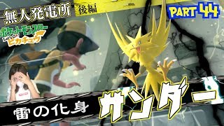 サンダー ポケットモンスター モンメン レパルダス ブラッキー