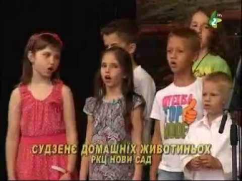 SUDZENJE DOMAŠNJIH ŽIVOTINJOH - Dzecinska grupa RKC Novi Sad