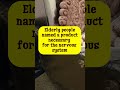 Elderly People Named A Product Necessary For The Nervous System