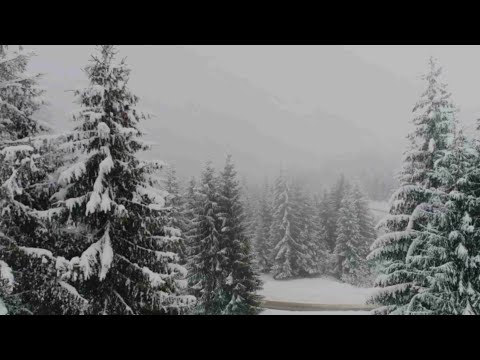 Liana Zeigo & Ragnar Häide duo - Jõuludest