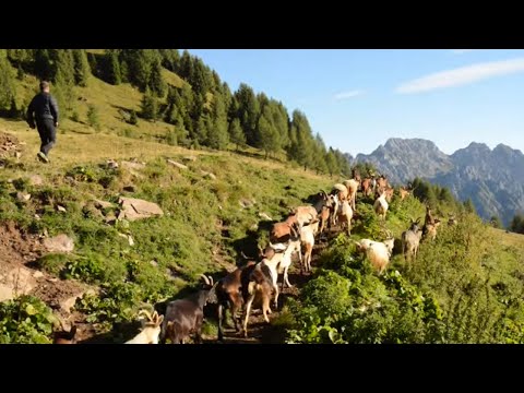 Vivere sull'altopiano di Lauco StefanoMorandini carnia