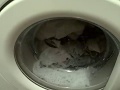 Electrolux Aqualux EW1006f Non Fast Colourds 40 With FAB Rainforest Part 2 Of 4