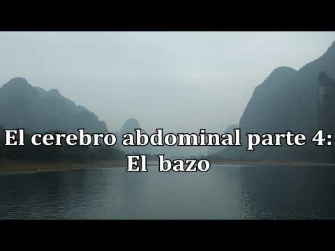 Cerebro abdominal 4: Bazo