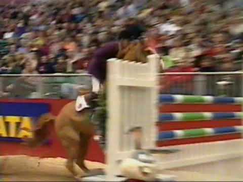 John Whitaker   Virtual Village Grannush   World Cup Final