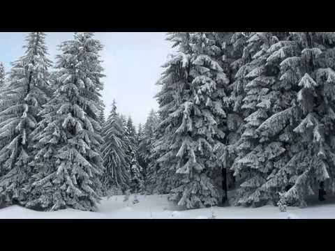 Corul Mira - La Vitleem Colo-n jos.flv