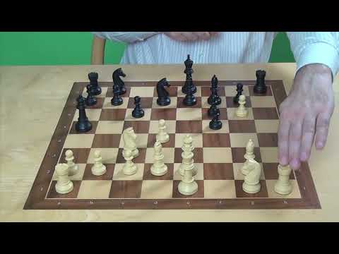 Skandinavisch mit Da5 Teil 1 von 2