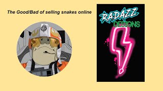 The Online Ball Python Selling/Buying Experience