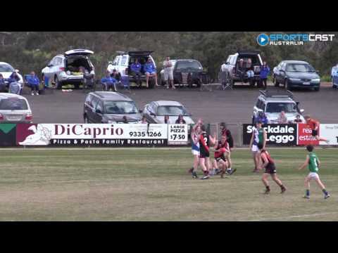 2016 EDFL - U16 Div 4 Premiership - Pascoe Vale highlights