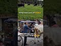 The Horrific Truth Of #Cow Suffering🇮🇳| When Devotion die💔