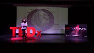 Hollow Earth: Fact or Fiction? | Salma Nagy  Mahmoud | TEDxYouth@TCHS