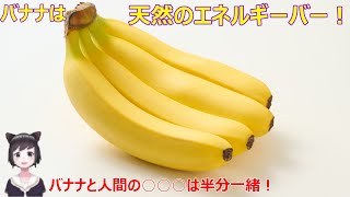 【安定】バナナと人間の○○○は半分一緒！【BNN(甘蕉)解説】