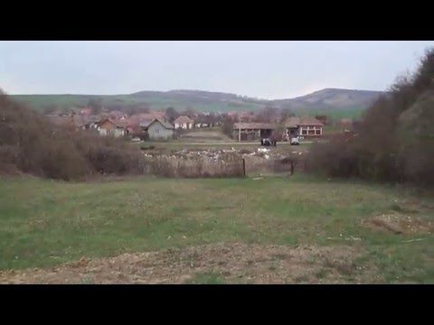 Îngropaţi alături de  gunoaie şi bălării