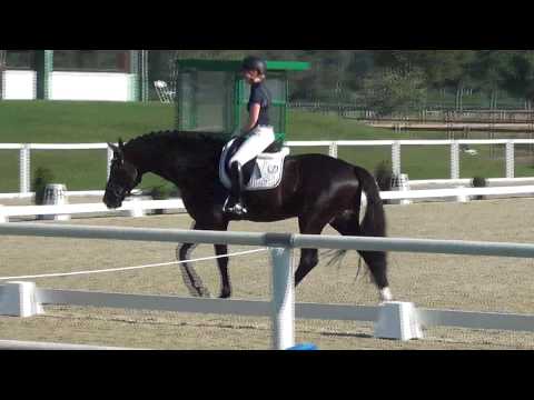 SECRET & Jessica Lynn Thomas - 1. WM-Sichtung 2019 - Prüfung