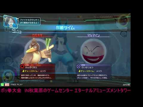 Toratawa 1on1: Tannbarinn (Lucario) vs Ganikosu (Mewtwo)