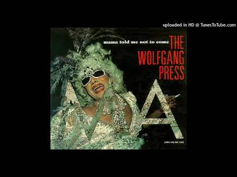 The Wolfgang Press - Mama Told Me Not To Come (Go Back)