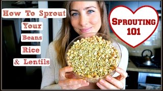 How To Sprout: Beans, Lentils & Rice