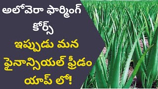 Aloe Vera Farming Course in Telugu - How to Start Aloe Vera Farming? | Financial Freedom App