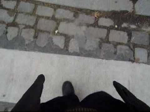 les chiens par mouada abdelali